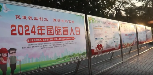 民权县残联开展2024年国际盲人节宣传教育活动
